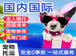 佛山沙堤机场货运国际宠物托运 【国